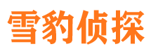 雷州外遇调查取证